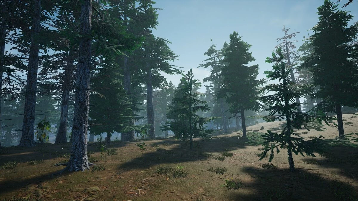 Screenshots from Mushroom Picker Simulator / Image 12