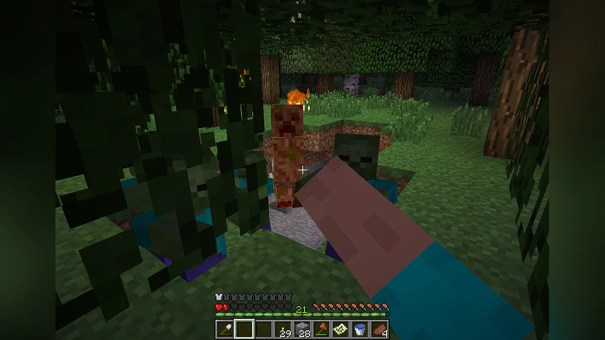 Ekran görüntüleri Minecraft / Resim 100