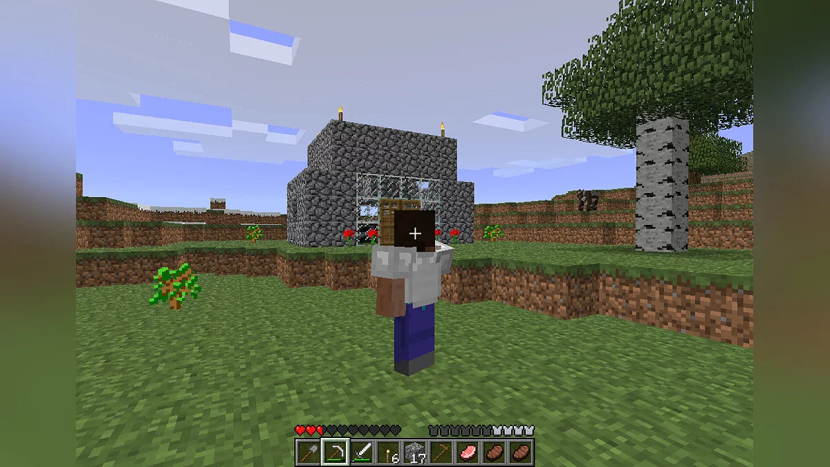 Ekran görüntüleri Minecraft / Resim 103