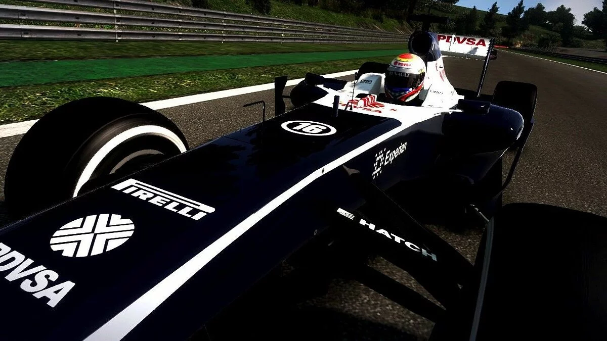 Screenshots from F1 2013 / Image 44