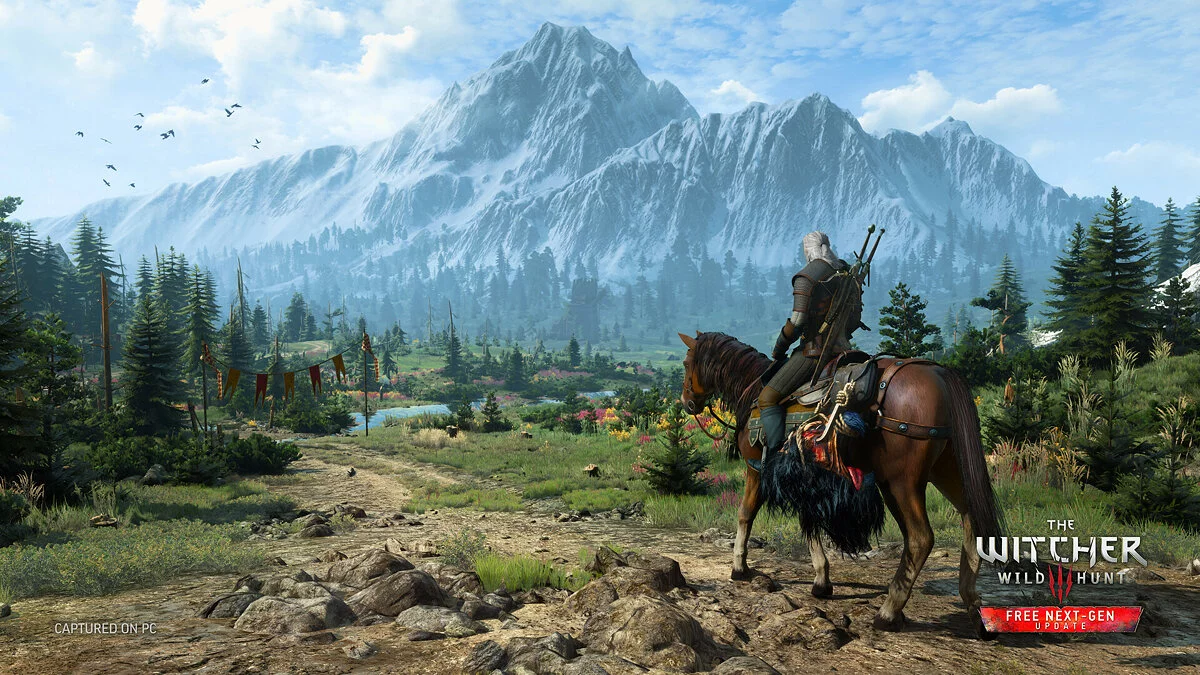 来自 The Witcher 3: Wild Hunt 的截图 / 图片 2