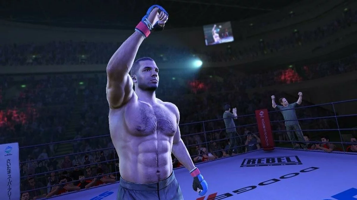 Скріншоти з UFC Undisputed 3 / Зображення 33