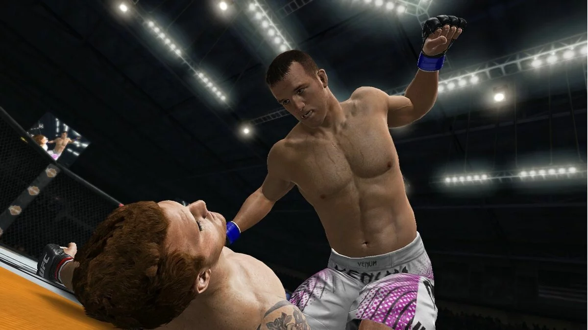 Скріншоти з UFC Undisputed 3 / Зображення 15