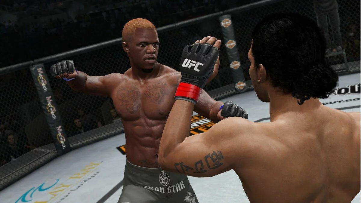 Скріншоти з UFC Undisputed 3 / Зображення 17