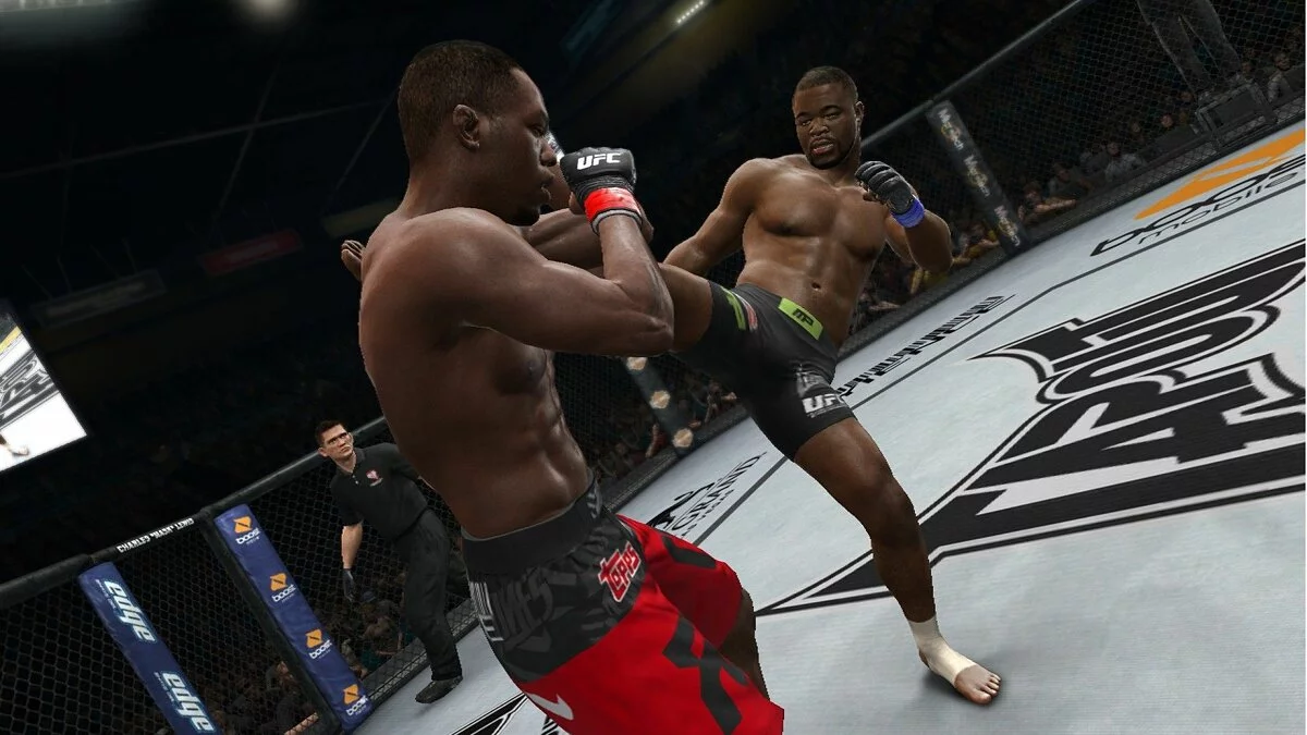 Скріншоти з UFC Undisputed 3 / Зображення 19