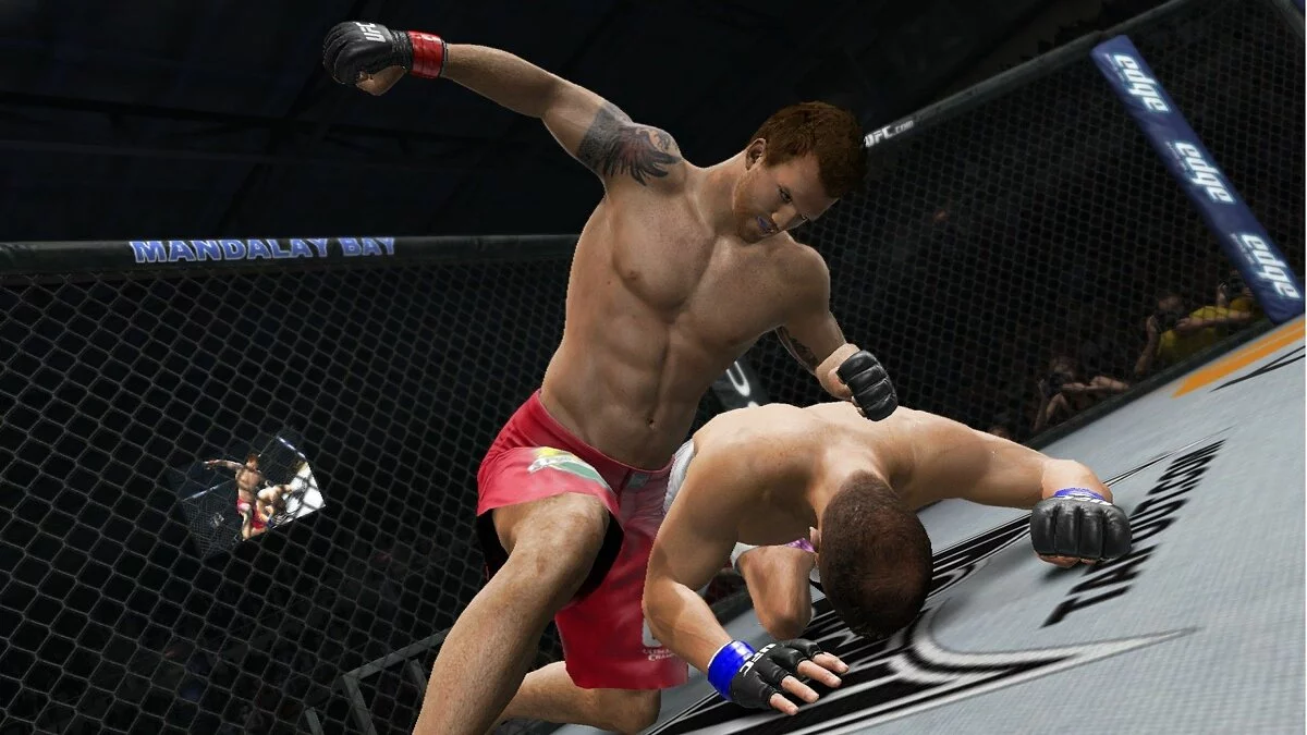 Скріншоти з UFC Undisputed 3 / Зображення 22
