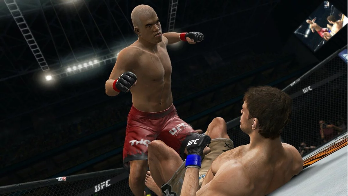Скріншоти з UFC Undisputed 3 / Зображення 26