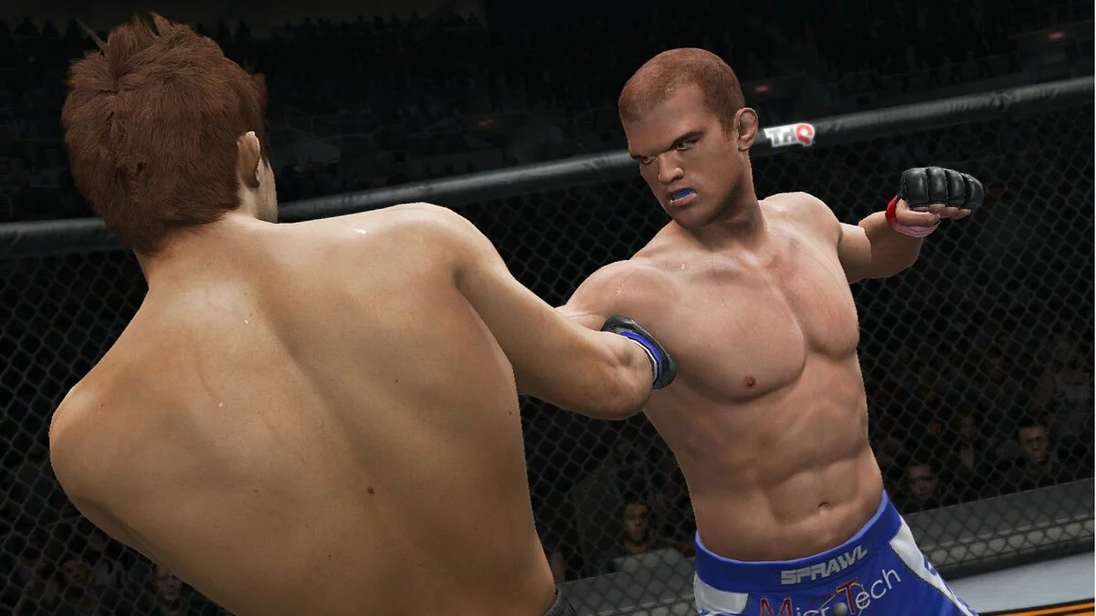 Скріншоти з UFC Undisputed 3 / Зображення 5