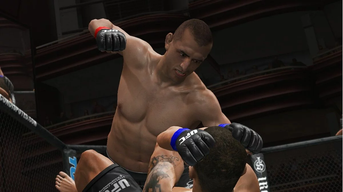Скріншоти з UFC Undisputed 3 / Зображення 9