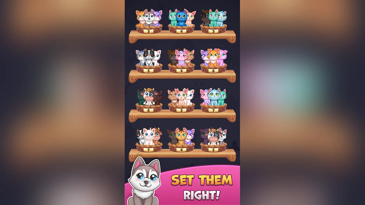 Cat Sort: Purrfect Match image