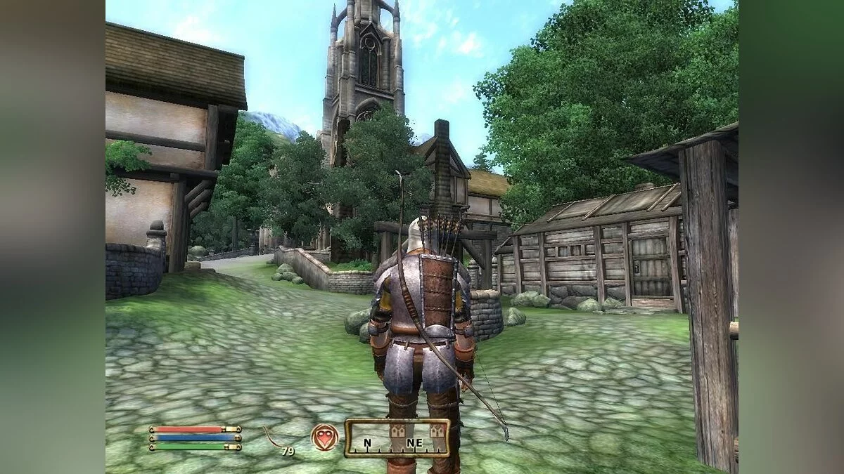 来自 The Elder Scrolls 4: Oblivion 的截图 / 图片 10