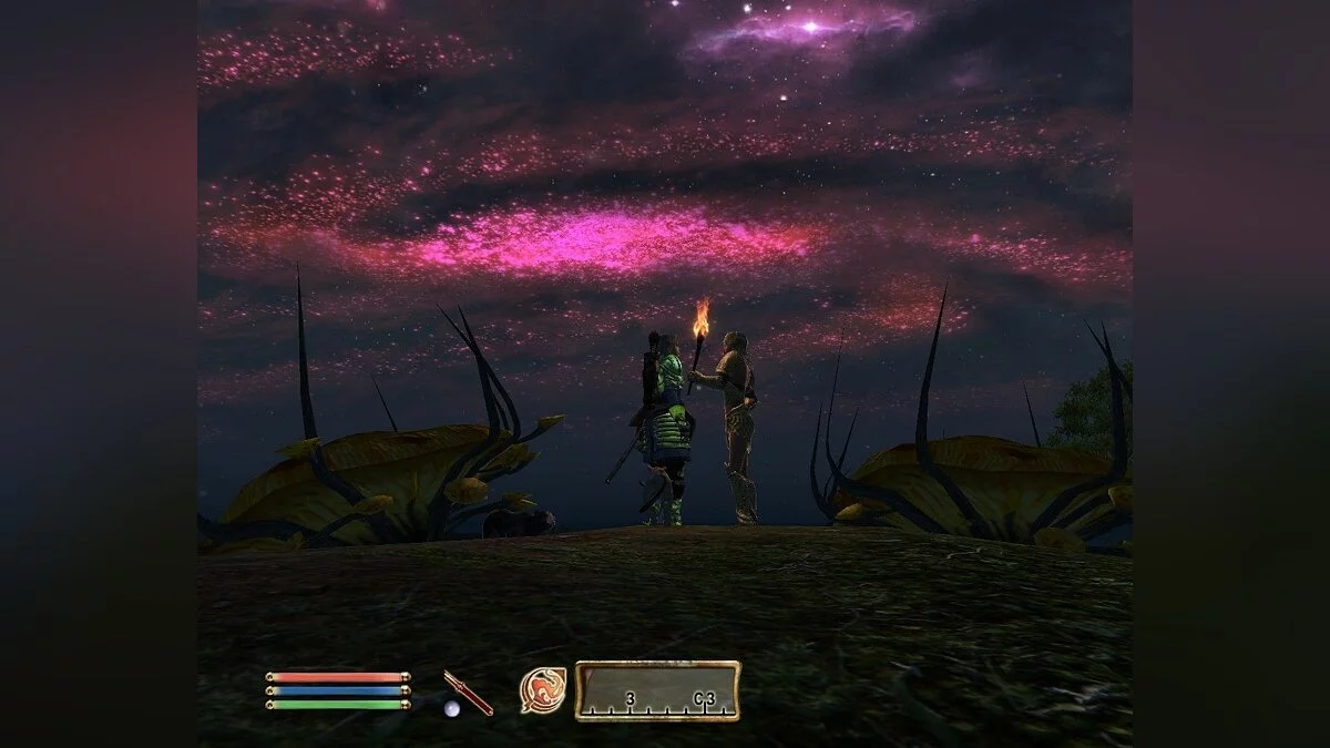 来自 The Elder Scrolls 4: Oblivion 的截图 / 图片 15