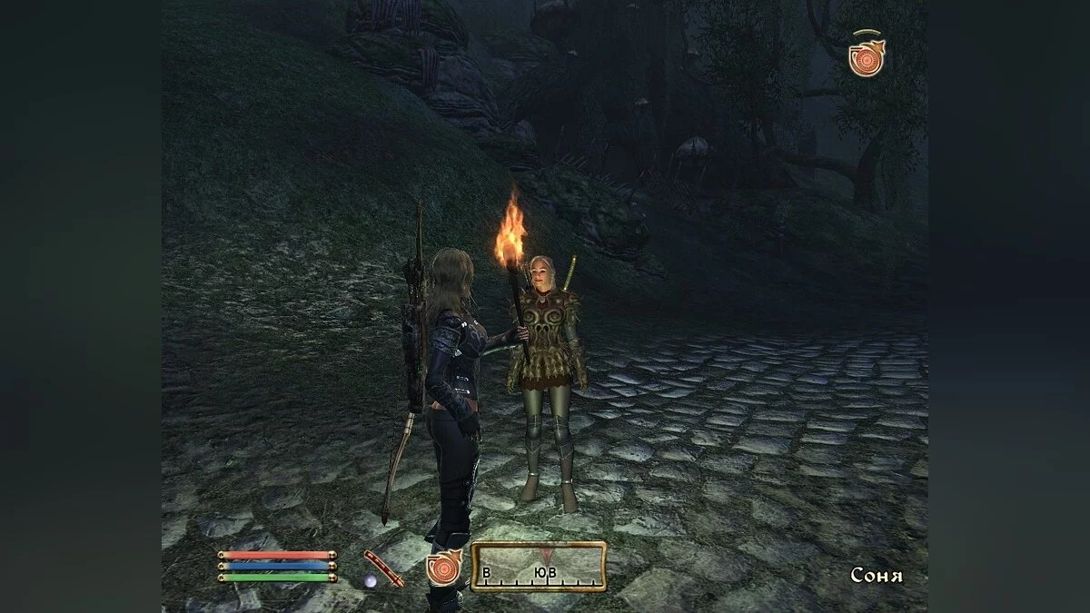 来自 The Elder Scrolls 4: Oblivion 的截图 / 图片 16