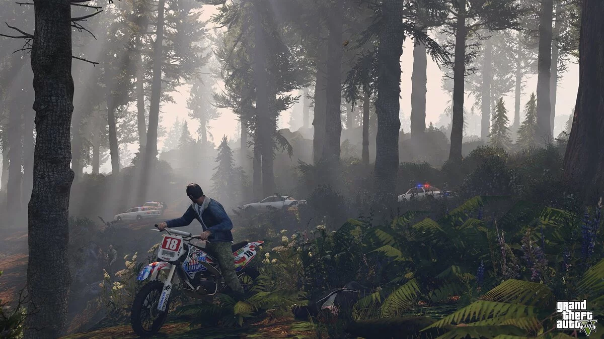 Screenshot dari GTA 5 / Gambar 1105