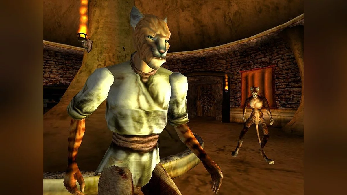 Screenshots from Elder Scrolls 3: Morrowind / Image 79