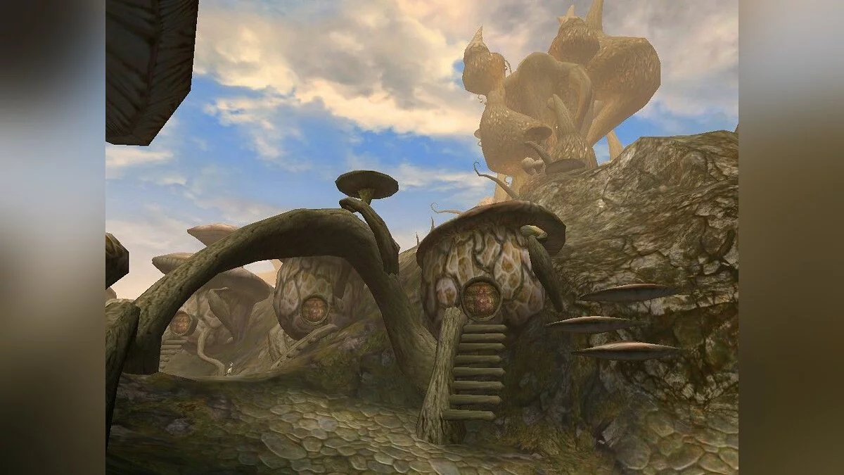 Screenshots from Elder Scrolls 3: Morrowind / Image 82