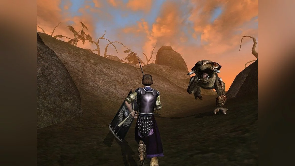 Screenshots from Elder Scrolls 3: Morrowind / Image 86