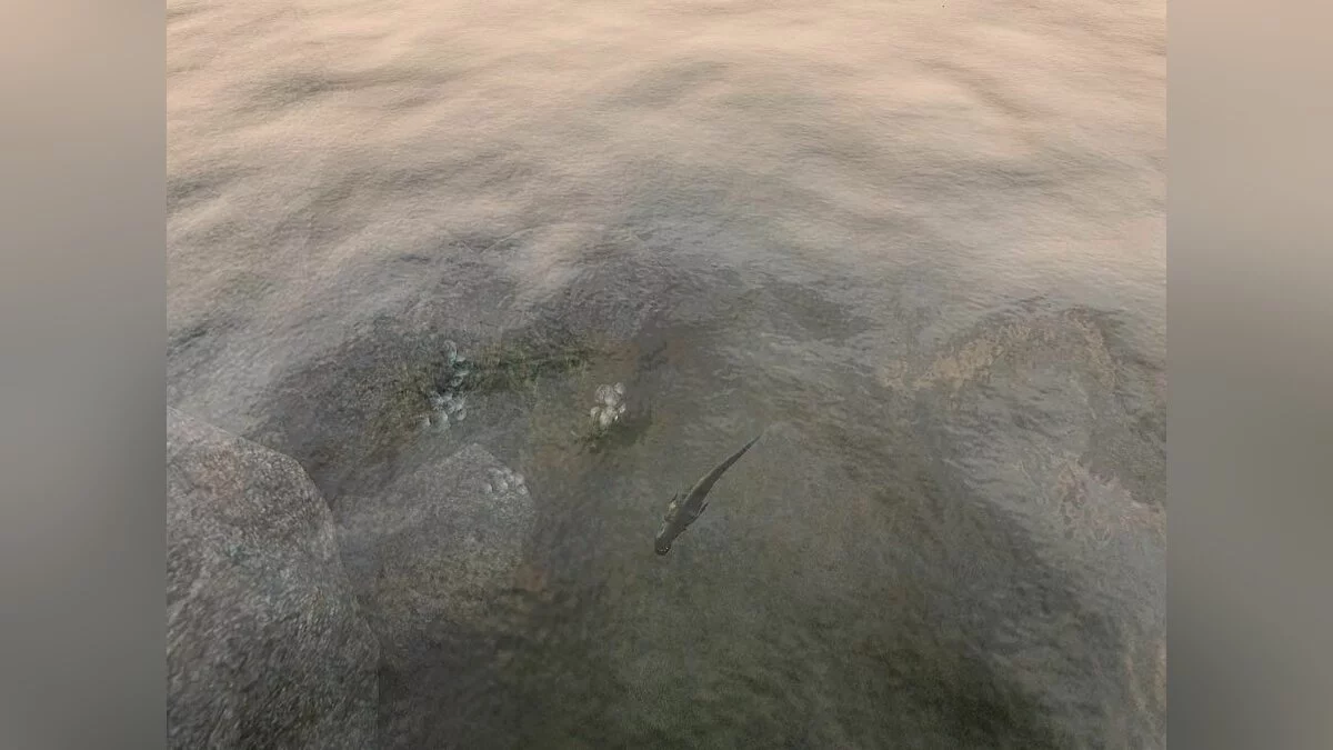 Screenshots from Elder Scrolls 3: Morrowind / Image 48