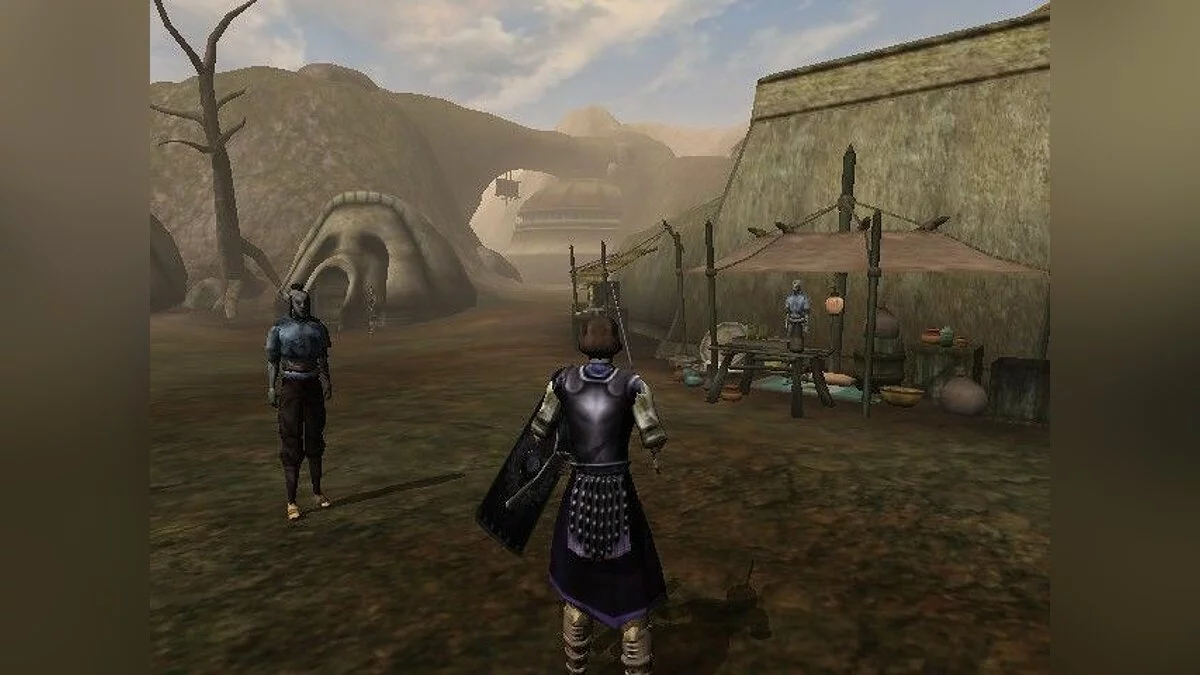Screenshots from Elder Scrolls 3: Morrowind / Image 33