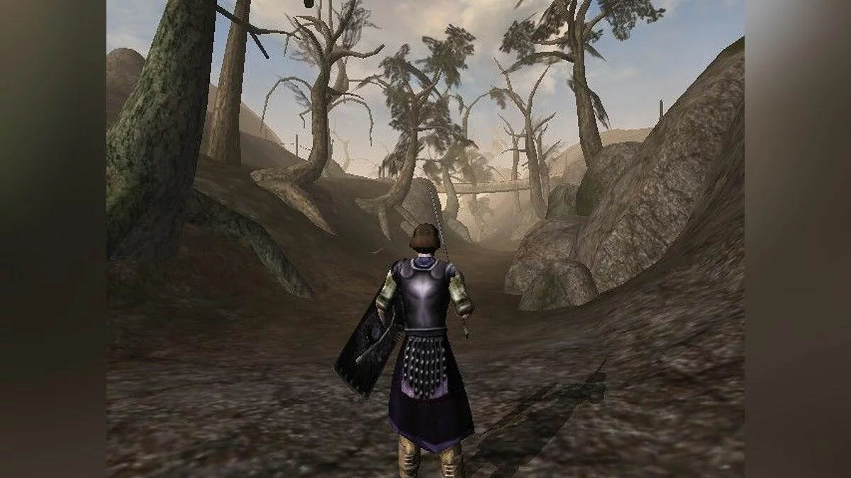 Screenshots from Elder Scrolls 3: Morrowind / Image 34