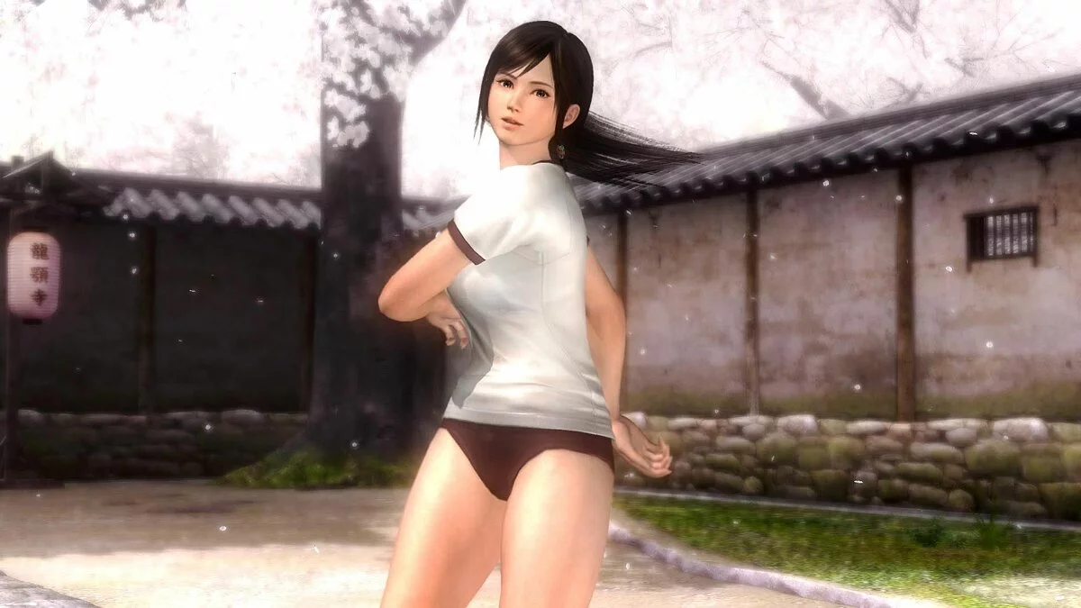 Screenshots from Dead or Alive 5 / Image 173
