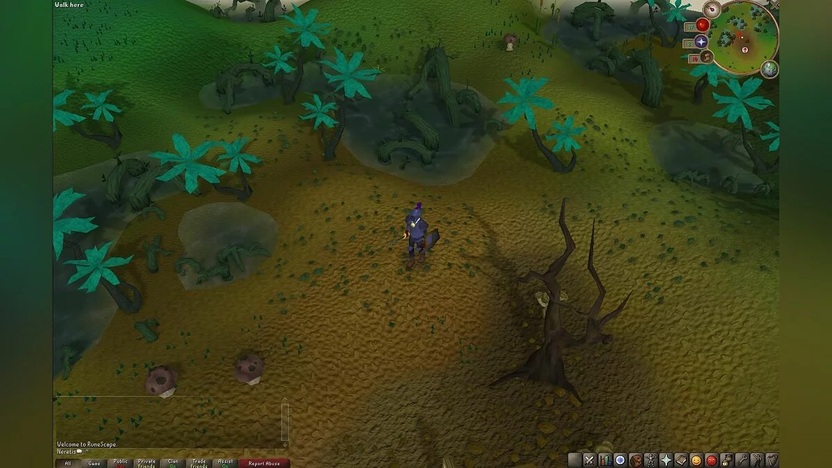 Screenshots from RuneScape / Image 98