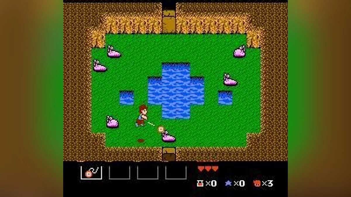 来自 StarTropics 的截图 / 图片 11