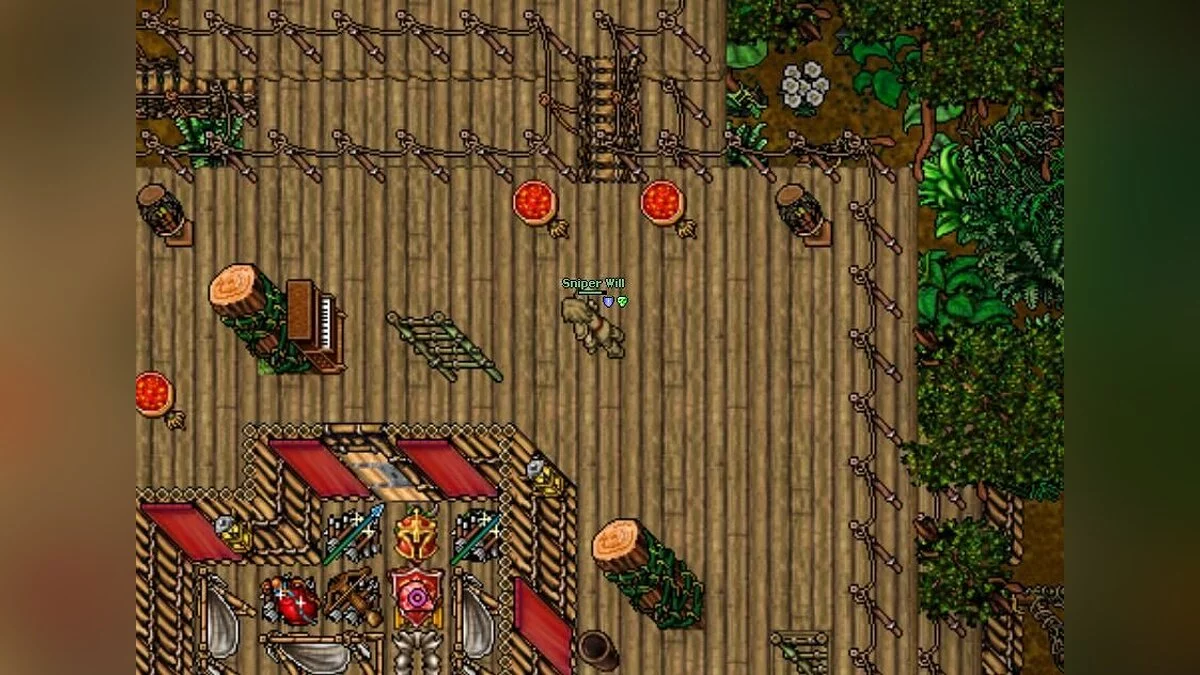 Screenshots from Tibia / Image 1