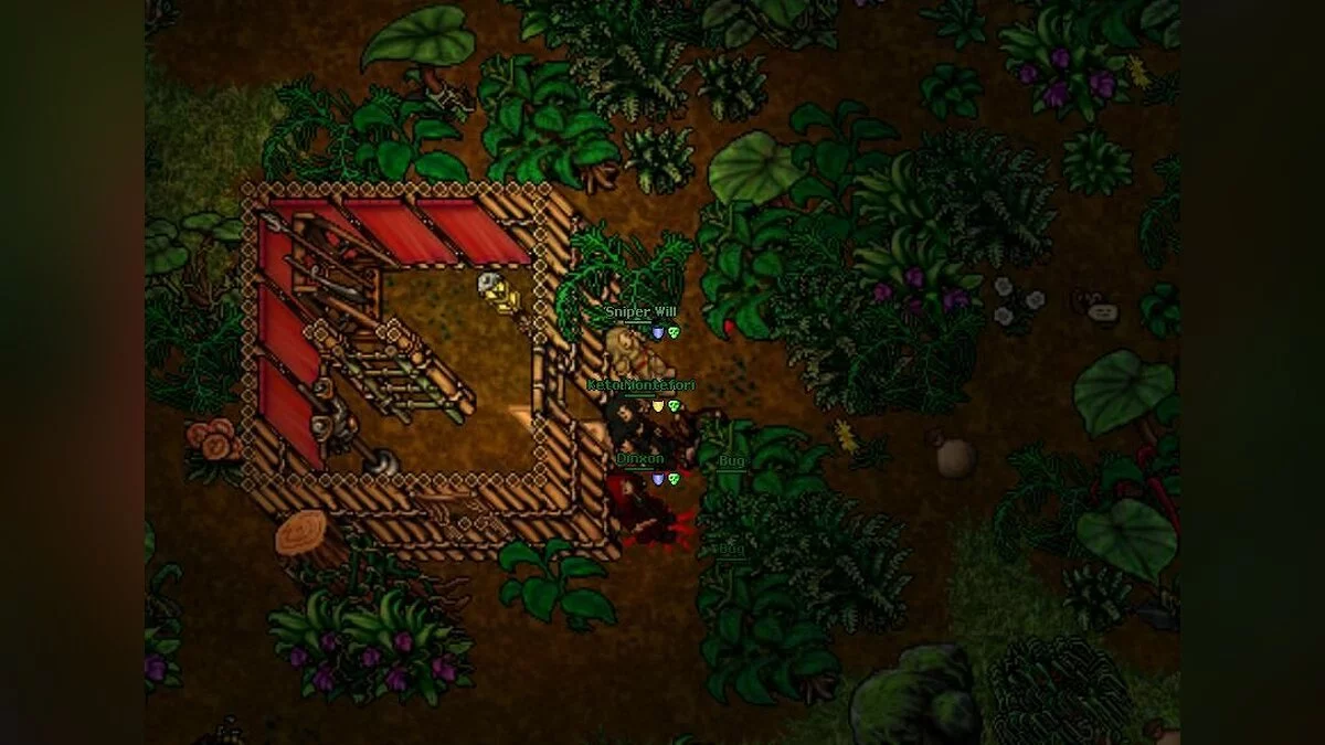 Screenshots from Tibia / Image 2