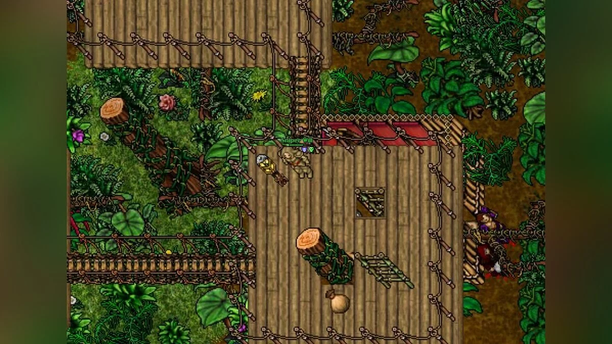 Screenshots from Tibia / Image 3