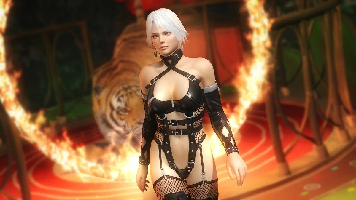 Дівчата з Dead or Alive / Зображення 155