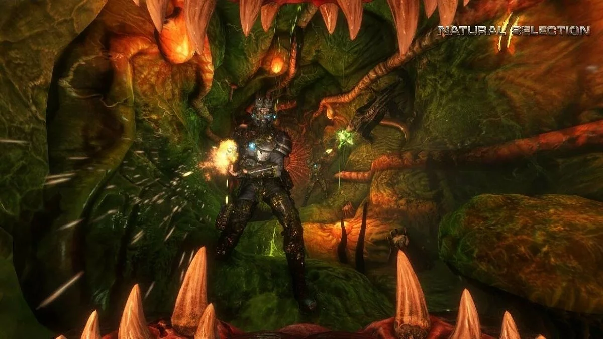 Screenshots from Natural Selection 2 / Image 46