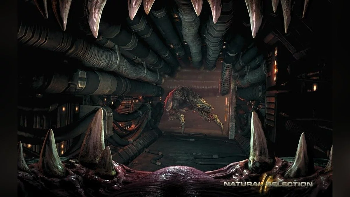 Screenshots from Natural Selection 2 / Image 14