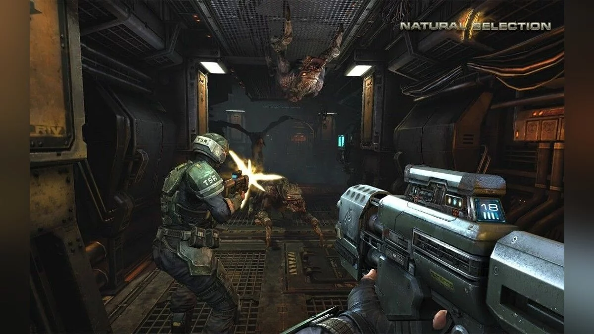 Screenshots from Natural Selection 2 / Image 15