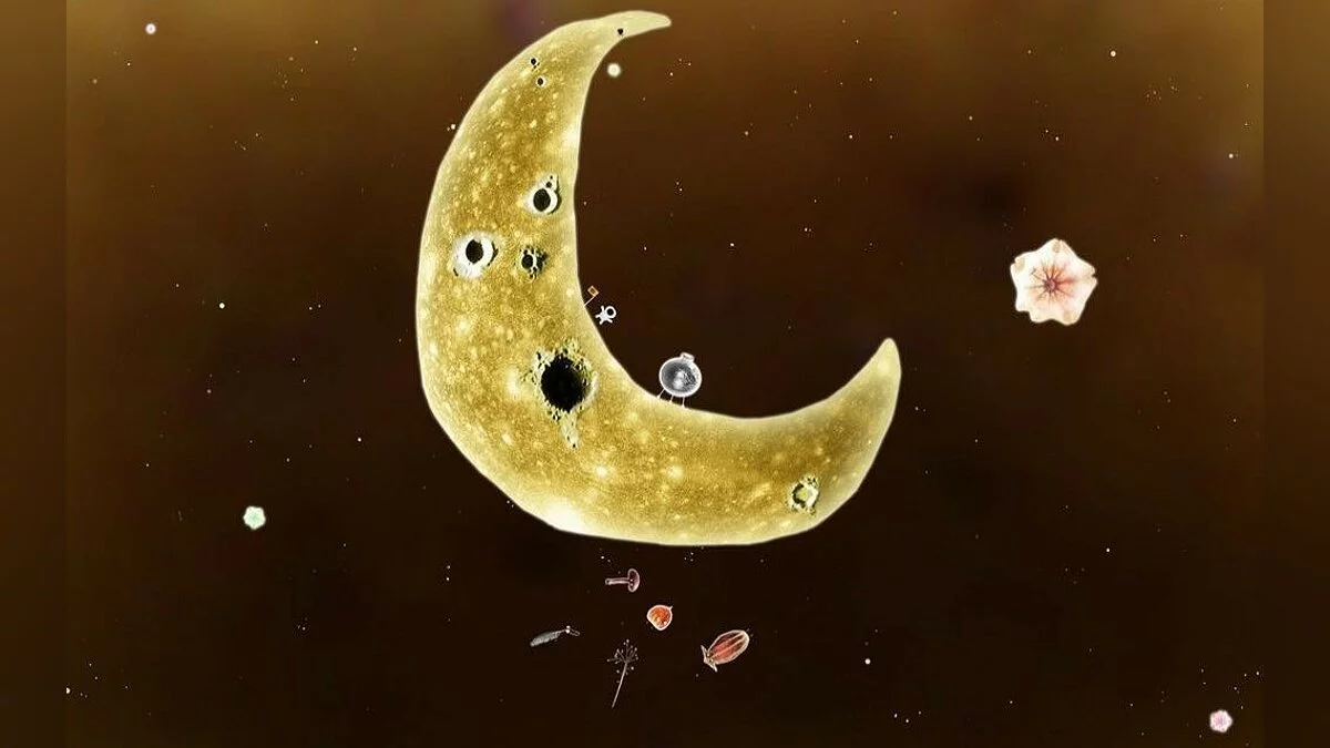 Screenshots from Botanicula / Image 24