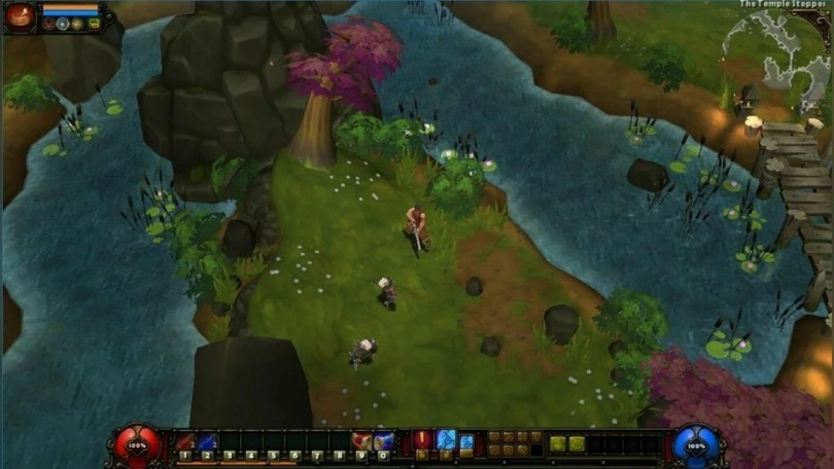 Screenshots from Torchlight 2 / Image 5