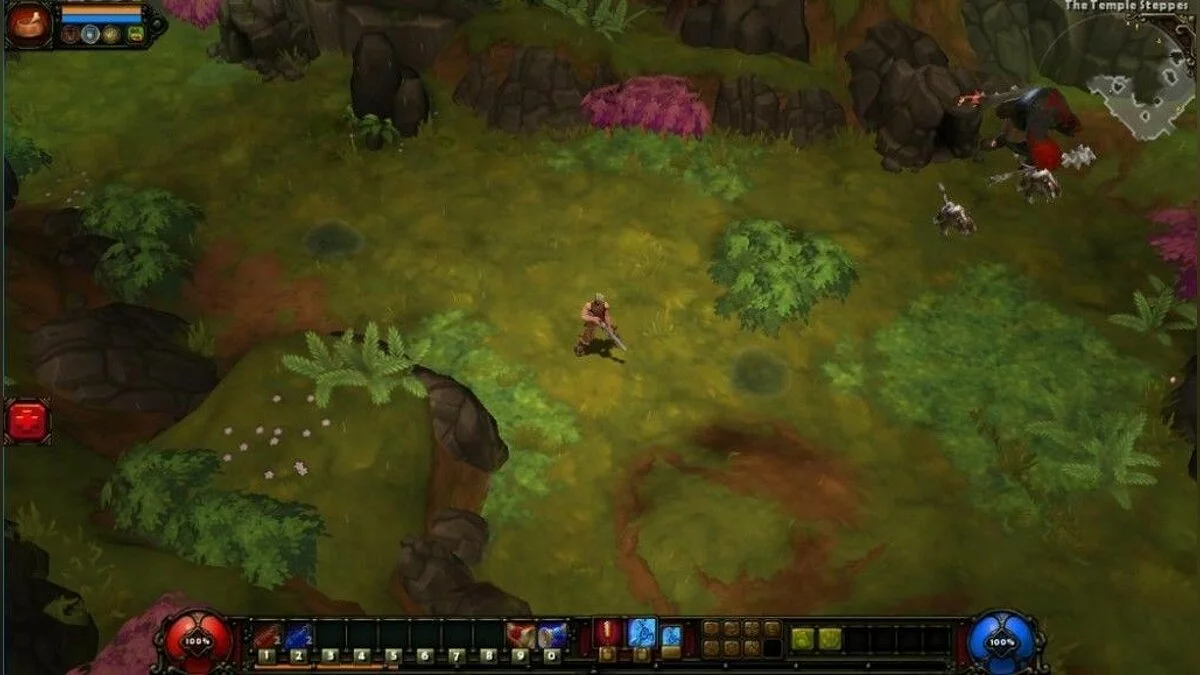 Screenshots from Torchlight 2 / Image 7