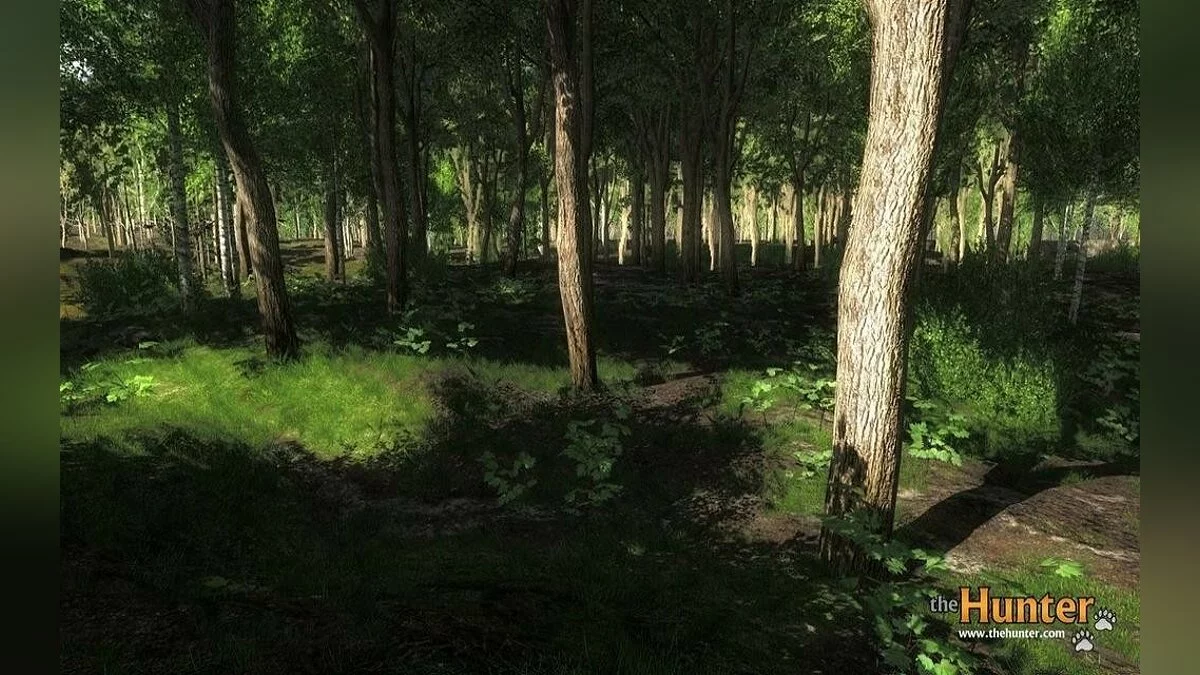Screenshots from theHunter / Image 22