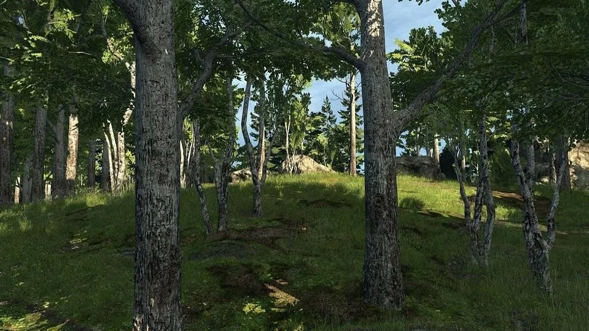 Screenshots from theHunter / Image 40