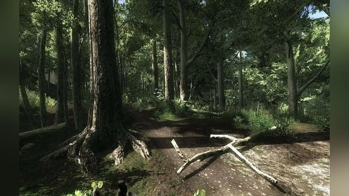 Screenshots from theHunter / Image 45