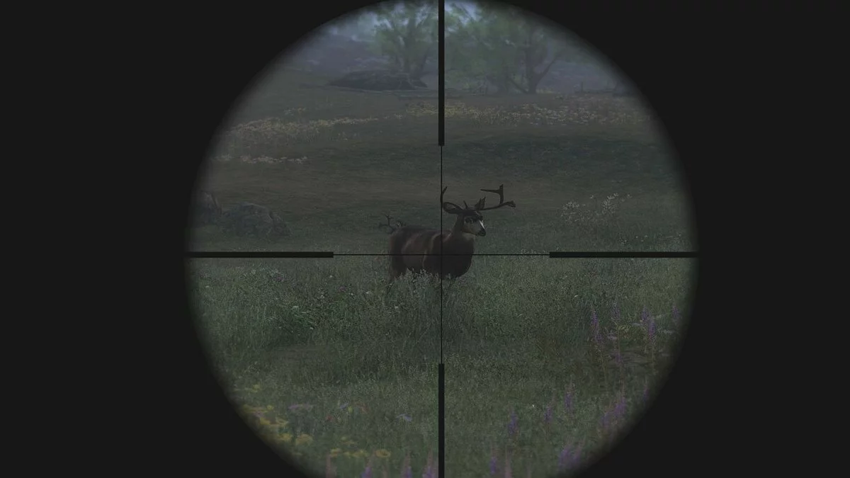 Screenshots from theHunter / Image 5