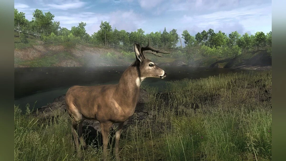 Screenshots from theHunter / Image 9