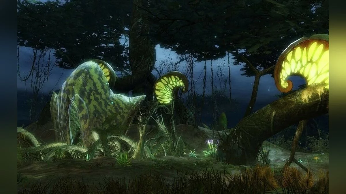 Скріншоти з Guild Wars 2 / Зображення 307