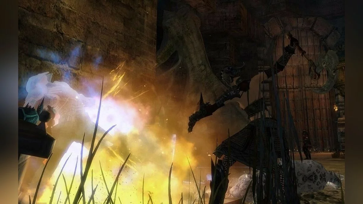 Скріншоти з Guild Wars 2 / Зображення 334