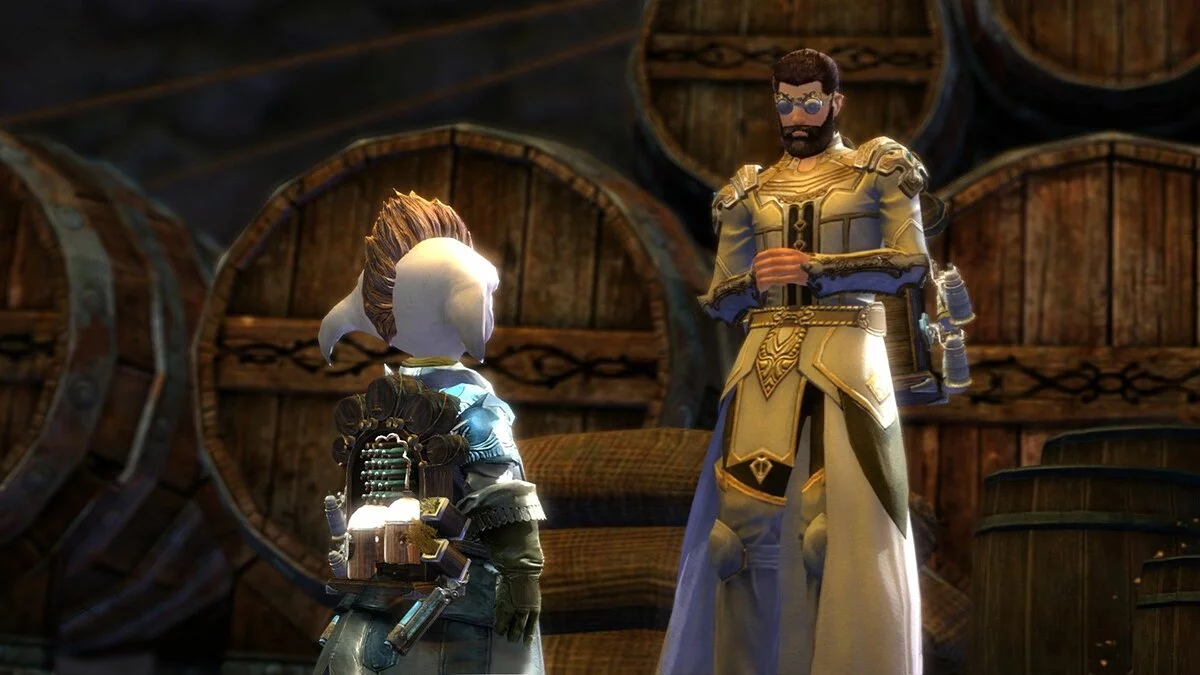 Скріншоти з Guild Wars 2 / Зображення 238