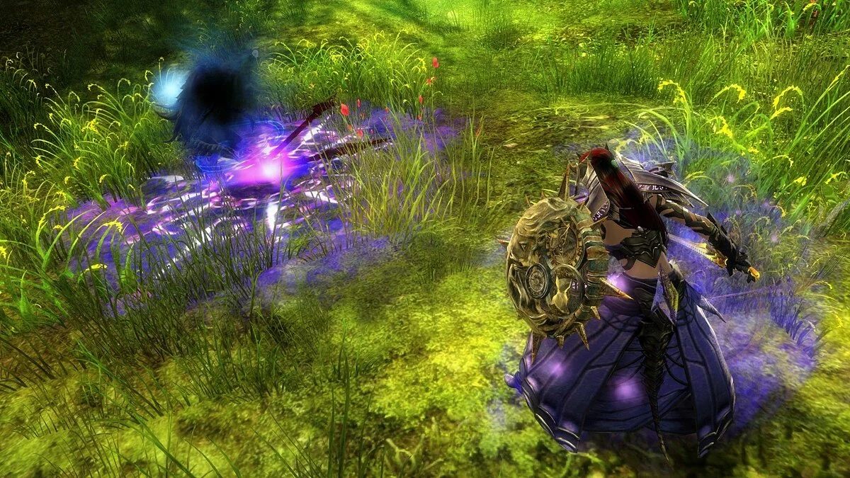 Скріншоти з Guild Wars 2 / Зображення 205