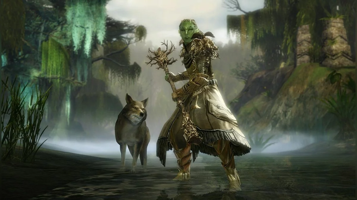 Скріншоти з Guild Wars 2 / Зображення 227