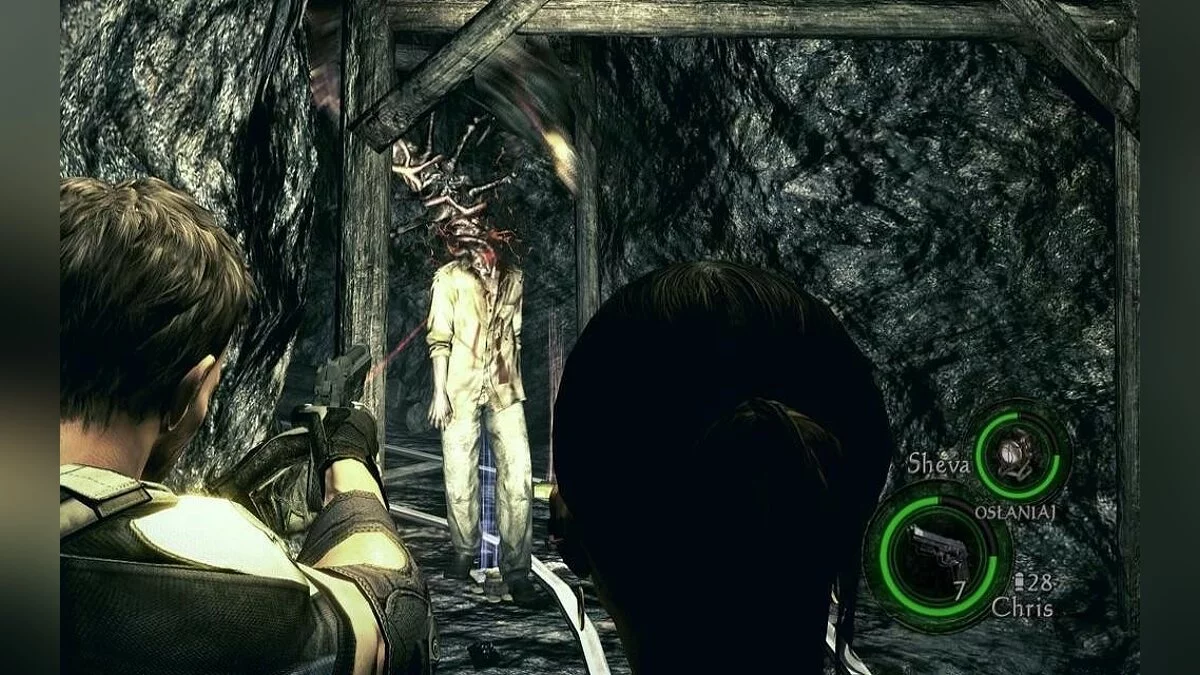 Screenshot dari Resident Evil 5 / Gambar 172