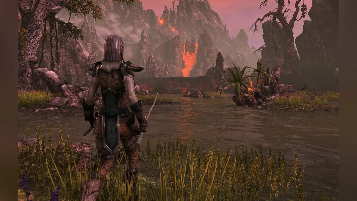Screenshots from The Elder Scrolls Online / Image 24