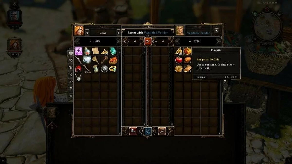 Screenshots from Divinity: Original Sin / Image 31